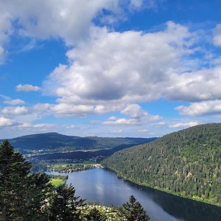 Maison Chaleureuse La Meybel La Bresse Exteriör bild