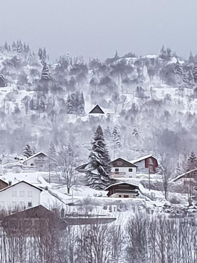 Maison Chaleureuse La Meybel La Bresse Exteriör bild