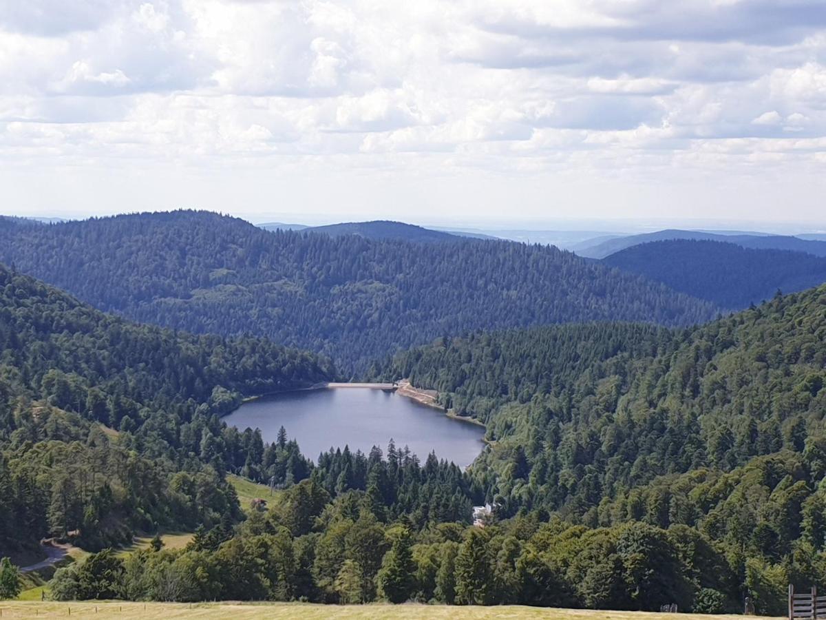 Maison Chaleureuse La Meybel La Bresse Exteriör bild